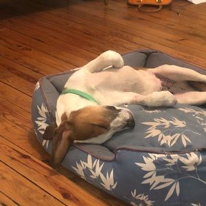 Meet your Posher, Jesse